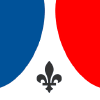 Vipsg.fr logo