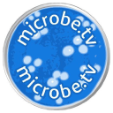 Virology.ws logo