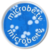 Virology.ws logo