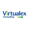Virtualex.co.jp logo