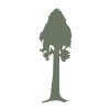 Visitsequoia.com logo