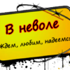 Vnevole.net logo