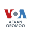 Voaafaanoromoo.com logo