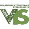 Volint.it logo