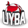 Volleybusto.com logo