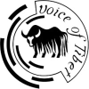 Vot.org logo