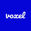 Voxelgroup.net logo