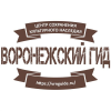Vrnguide.ru logo