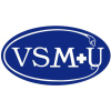 Vsmu.by logo