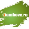 Vtambove.ru logo