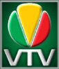 Vtv.ro logo