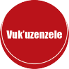 Vukuzenzele.gov.za logo