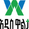 Waltainfo.com logo