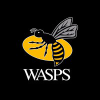 Wasps.co.uk logo