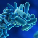 Water Hygiene Systems