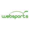 Websports.co.za logo