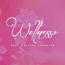 Wellnesso.ru logo