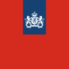 Werkenvoorinternationaleorganisaties.nl logo