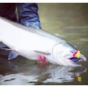 Wicked Lures LLC