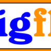Wigflip.com logo