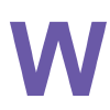 Wisel.it logo