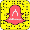 Wishbone.io logo