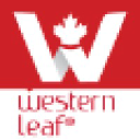 Western Leaf Electronics