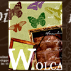 Wolca.info logo