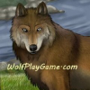 Wolfplaygame.com logo