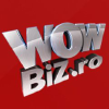 Wowbiz.ro logo