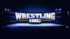 Wrestlinginc.com logo