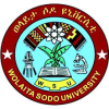 Wsu.edu.et logo