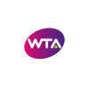 Wta.cn logo