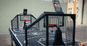 23Gamez GmbH Berlin