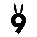 9 friendly white rabbits