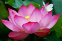 Be Well Counseling