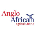 Anglo African Agriculture