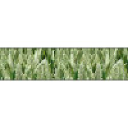 AGROTRADE
