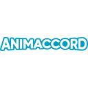 Animaccord Animation studio