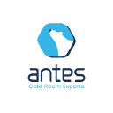 Antes Global