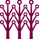 Asia Principal Capital Pty Limited