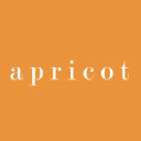 Apricot Dubai