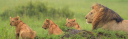 Aranyamie Wilderness Safaris