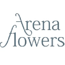 Arena Online Ltd
