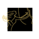 Artemis Holdings Group, LLC