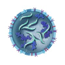ArunA Biomedical, Inc