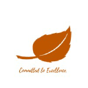 Chris Felfe Consulting