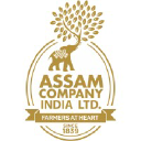 Assam Company India Limited
