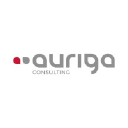 Auriga Consulting S.p.A.