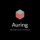 Auring Technologies LLP